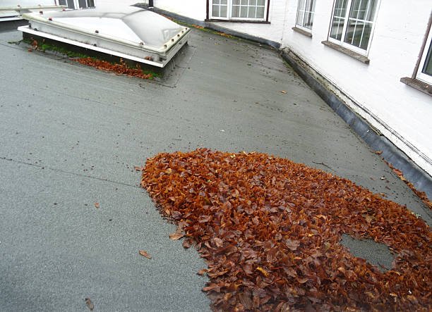 Top Roof Dakdekkers bladeren