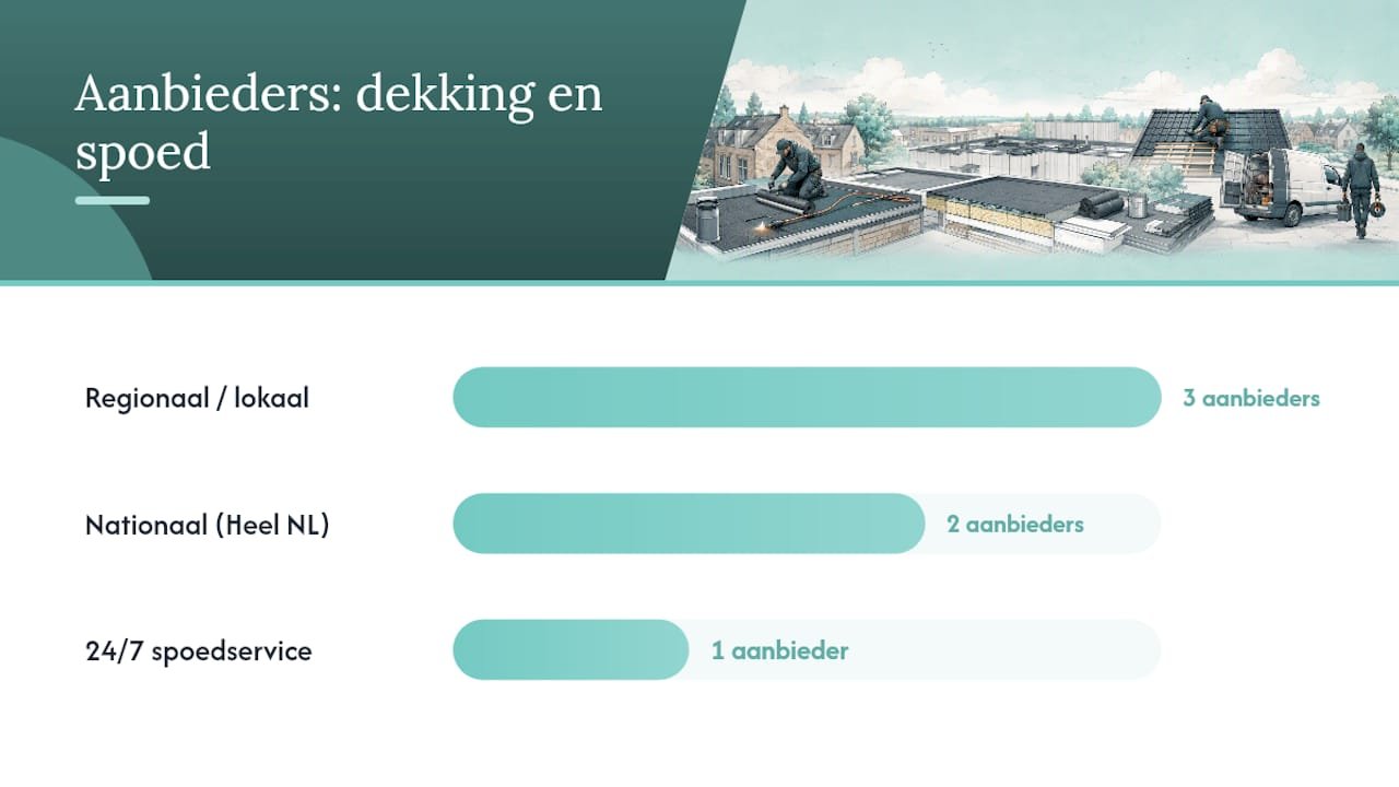 Hoe scoren de alternatieven voor Olster.nl op de belangrijkste criteria? — overview diagram